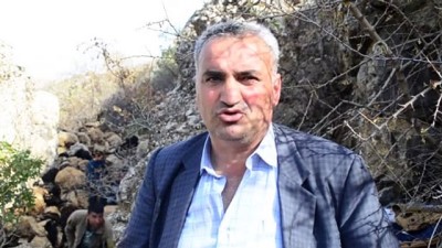 Uçurumdan düşen 315 koyun telef oldu - BİTLİS