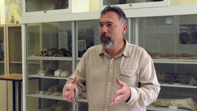 Kırşehir'de bulunan milyon yıllık fosiller dünya literatürüne kazandırılacak 