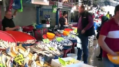 hamsi fiyatlari -  Marmara'ya akın etmeyen hamsi fiyatları yükseltti  Videosu