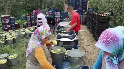 hanli -  Bursalı çiftçilerden mülteci kamplarına tır dolusu meyve yardımı  Videosu