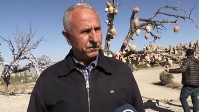 Kapadokya'da turist sayısındaki artış devam ediyor - NEVŞEHİR 