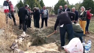 tarim arazisi - 'Mucize bitki' Çubuk'ta üretilmeye başlandı - ANKARA  Videosu