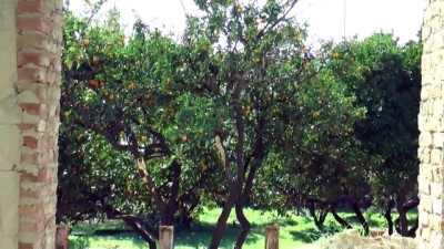 restorasyon - Eski Kapalı Cezaevi'nde restorasyon çalışması - AYDIN Videosu