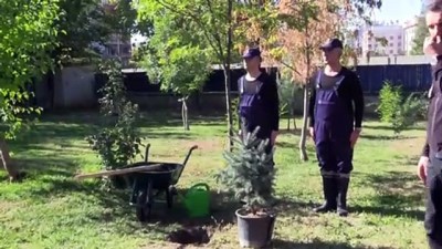 efes - Siirt'te jandarmadan fidan dikimi  Videosu