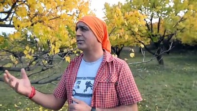 muhabir - Iğdır'daki Acısu Vadisi'nde sonbahar güzelliği - IĞDIR  Videosu