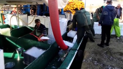 muhabir - Karadeniz'e açılan balıkçılar tonlarca hamsiyle döndü - KASTAMONU  Videosu