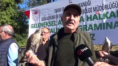 salacak -  Sezon sona erdi, atmacalar tulum eşliğinde özgürlüğe kanat çırptı  Videosu