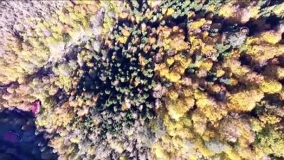 sonbahar - 'Tabiatın kalbi' renk cümbüşüyle büyülüyor - DÜZCE  Videosu