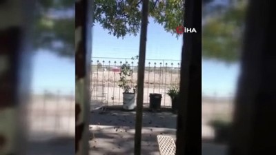 guvenlik gucleri -  - Meksika’da kartel terörü: 14 ölü  Videosu