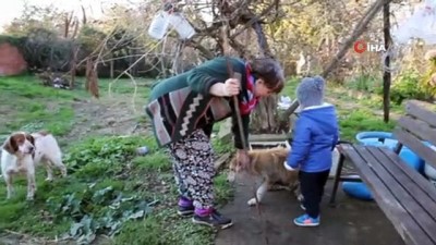 petshop -  40 yıllık hayvan sevgisini evinin bahçesine taşıdı  Videosu