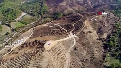 orman alani -  Muğla ve Aydın’da 2019’da 1 milyon fidan toprakla buluştu  Videosu
