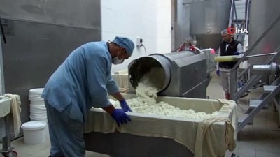 gesi -  Sivas'ta üretilen peynirler, 15 ülkeye ihraç ediliyor  Videosu