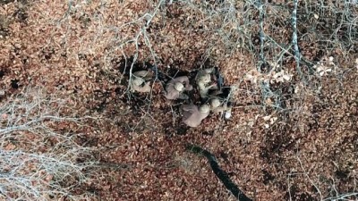 salda - 5 teröristin öldürüldüğü operasyona ait görüntüler - MUŞ  Videosu