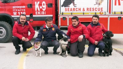  Ankara itfaiyesi K-9 köpekleri artık lisanslı