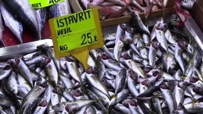 kazanci - Balıkçıların tezgahlarda 'düşük fiyat' umudu - ÇANAKKALE  Videosu