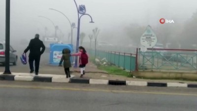 kullar -  Manisa’da yoğun sis  Videosu