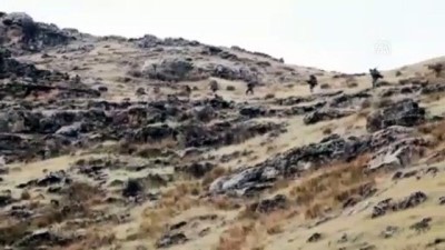 PKK'lı teröristlerin kullandığı 9 barınak ve sığınak imha edildi - SİİRT