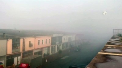 asiri hiz - Sis nedeniyle görüş mesafesi 20 metreye düştü - SAKARYA  Videosu