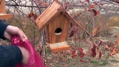 raks -  12 hane kalan köyde, kuşlar üşümesin diye 350 kuş evi asıldı  Videosu