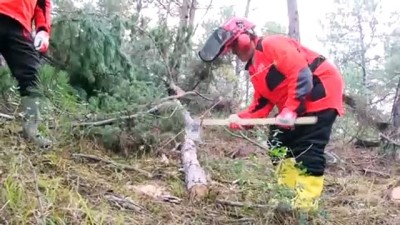 orman alani - Çalıştığı ormanda Türkiye'nin ilk 'sertifikalı kadın orman üretim işçisi' oldu - SAKARYA  Videosu
