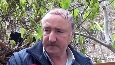 siginma - Eşi tarafından darbedilip öldürülen kadının cenazesi Tokat'ta defnedildi - TOKAT  Videosu