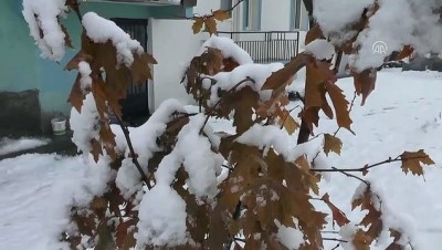 buz sarkitlari - Doğuda soğuk hava etkili oluyor - Hayvanlarını otlatmak için mücadele veren besiciler - TUNCELİ/AĞRI  Videosu