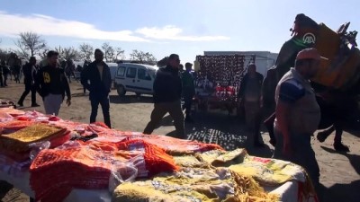 deve guresi - İncirliova'da deve güreşi festivali, ilkokul için yapıldı - AYDIN Videosu