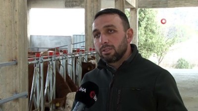 sut uretimi -  İstanbul'daki işini bırakıp hayvancılık için tesis kurdu, elektrik alamayınca mağdur oldu Videosu