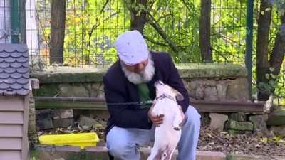 Nefessiz kalan köpeği kalp masajıyla hayata döndürdü - KOCAELİ 