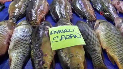 aynali sazan -  Elazığ’da deniz ile göl balığı rekabeti  Videosu