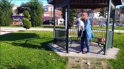 keci - Yavru keçisine bebek gibi bakıyor - ZONGULDAK  Videosu