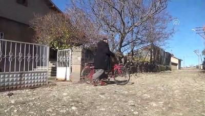 ceviz agaci - Her gün bisikletiyle gittiği atölyesinde 35 yıldır baston üretiyor - BİTLİS  Videosu