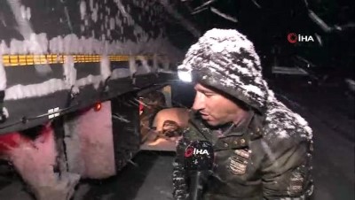 guvenlik onlemi -  Kar yağışı ve tipi Kop Dağı Geçidi'nde ulaşımın aksamasına neden oldu  Videosu