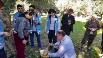 isaf -  Zeytin hasadı yapanlara çay, çorba, pide ve ayran ikramı  Videosu