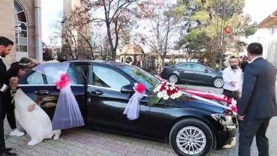 gelin arabasi -  Sosyal medyadan 'Mercedes gelin arabası' isteyen çifte başkandan jest  Videosu