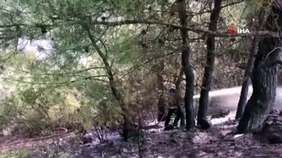 lodos -  Gemlik'te orman yangını Videosu