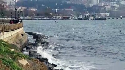 deniz ulasimi - Marmara Denizi'nde lodos ulaşıma engel oluyor - TEKİRDAĞ  Videosu