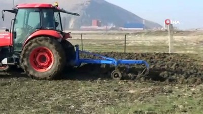 gunesli -  Sıcak hava çiftçileri sevindirdi  Videosu