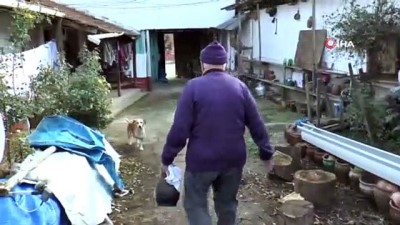 yasli adam -  Hayırsever iş adamının yolladığı tavukları gören Halil Amca bu kez mutluluktan ağladı Videosu