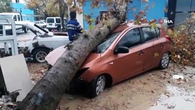  Fırtınanın devirdiği ağaç otomobili hurdaya çevirdi, yaşananlar kameraya böyle yansıdı 