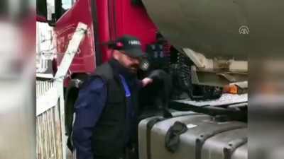 dedektor kopek - Gaziantep'te 225 kilogram esrar ele geçirildi Videosu