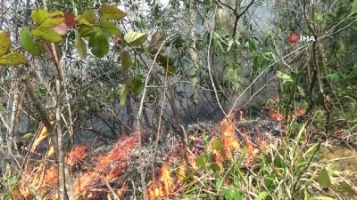 siddetli ruzgar -  Giresun’da 4 noktada örtü yangınları devam ediyor Videosu
