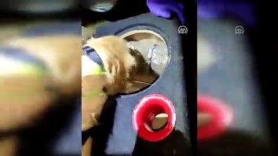 polis kopegi - Hoparlörün içine saklanan uyuşturucuyu polis köpeği buldu - ÇANAKKALE  Videosu