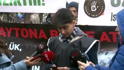 basin aciklamasi -  İBB önündeki fayton eylemi 6’ncı gününde  Videosu