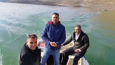 bismillah - Muş'ta baraj gölü balıkçıların geçim kaynağı oldu  Videosu