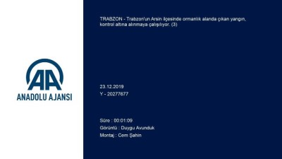 ormanli - Trabzon'da orman yangını (3)  Videosu