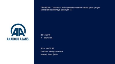 ormanli - Trabzon'da orman yangını (4)  Videosu