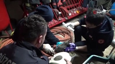 itfaiye eri -  İtfaiye ekipleri yavru kediyi hayata bağlamak için dakikalarca uğraştı  Videosu