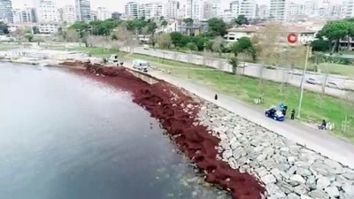 ilginc goruntu -  Kızıla bürünen Caddebostan sahil havadan görüntülendi  Videosu