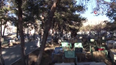 sehitlikler -  Van’da 12 mezarlıktan 6’sının doluluk oranı yüzde 100'e ulaştı  Videosu